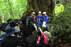 �����񍐎ʐ^