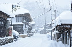 �����񍐎ʐ^