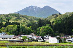 �����񍐎ʐ^