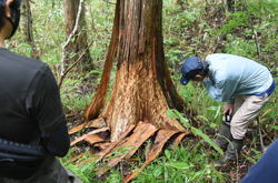 �����񍐎ʐ^