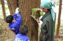 �����񍐎ʐ^