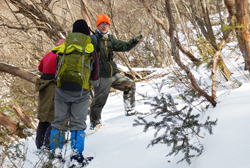 �����񍐎ʐ^