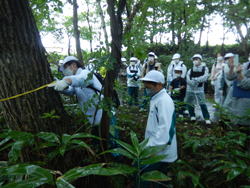 �����񍐎ʐ^