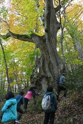 �����񍐎ʐ^