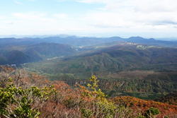 �����񍐎ʐ^